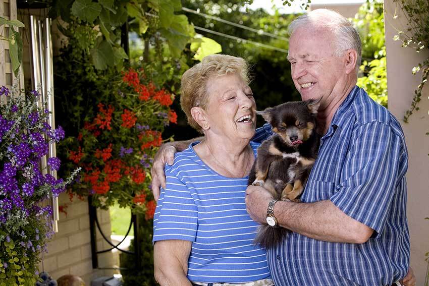 elderly couple holding dog